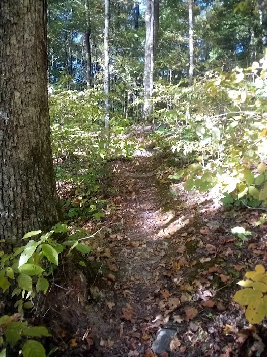 Montgomery Bell State Park Group Camp 2 5