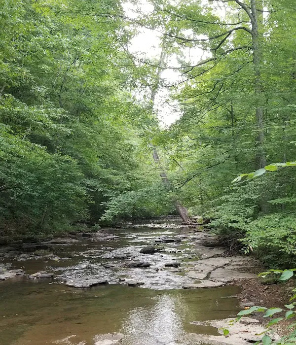 Montgomery Bell Campground 4