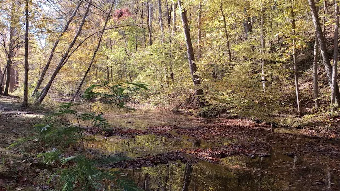 Montgomery Bell Campground 2