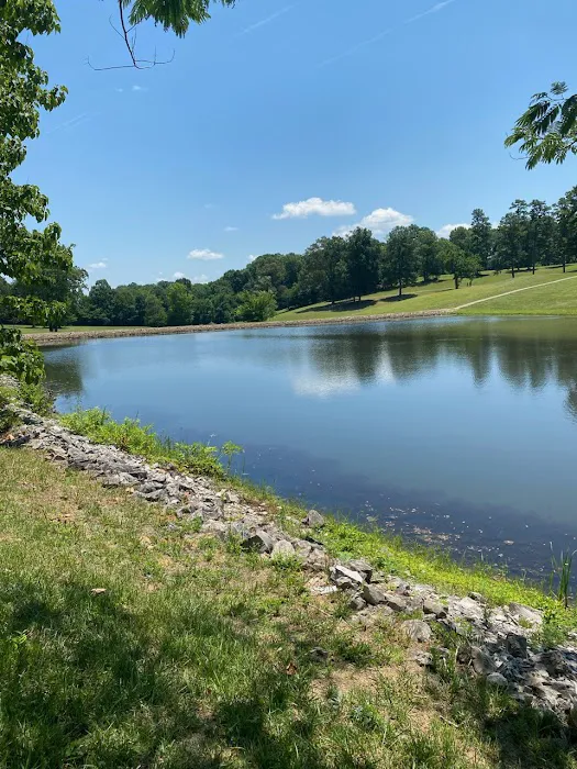 Montgomery Bell Campground 8