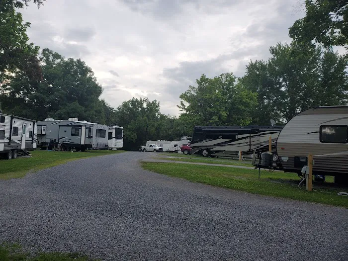 Tanbark Campground 4