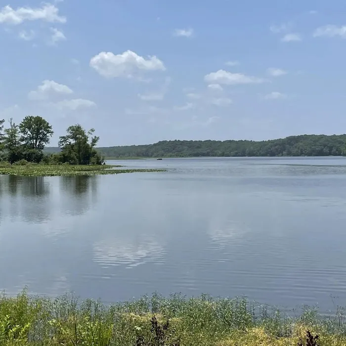 SongBird Campground 8