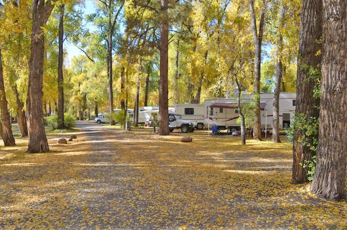 SongBird Campground 6