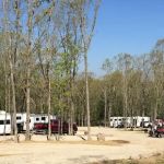 Cedar Ridge Trails
