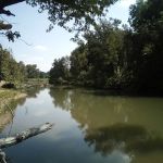 Floating R Campground