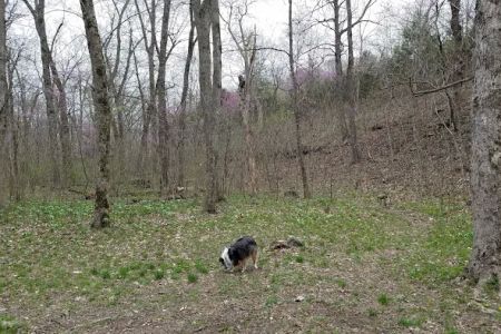 Turkey Pen Hollow Backpack Camp