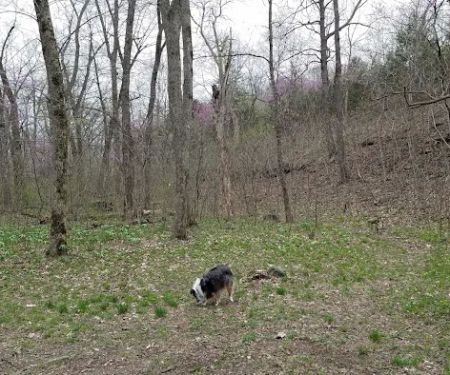 Turkey Pen Hollow Backpack Camp