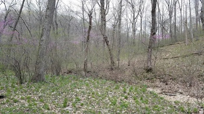 Turkey Pen Hollow Backpack Camp 3
