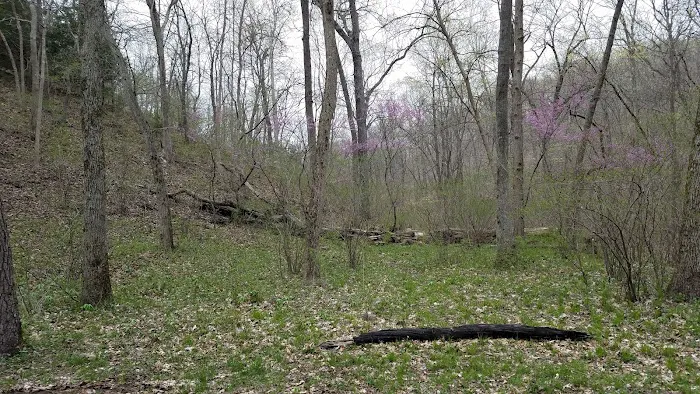 Turkey Pen Hollow Backpack Camp 2