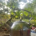 Mother Nature's Riverfront Retreat