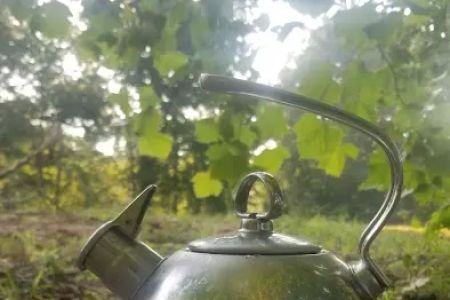 Mother Nature's Riverfront Retreat
