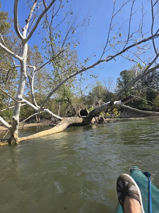 Mother Nature's Riverfront Retreat 3