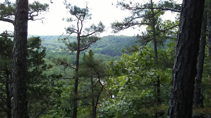 Cave Eddy Campground 9