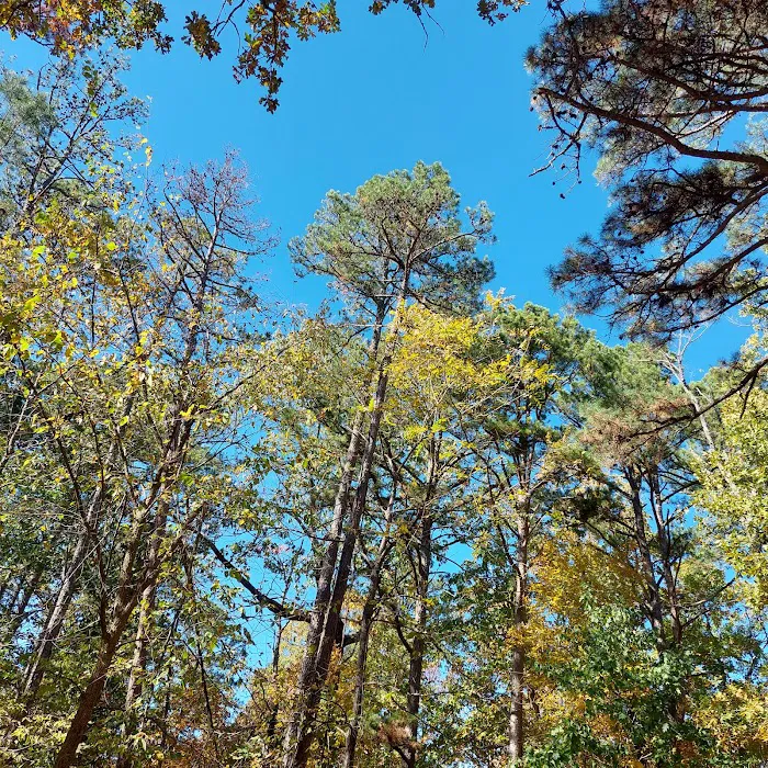 Big Piney Campground 10