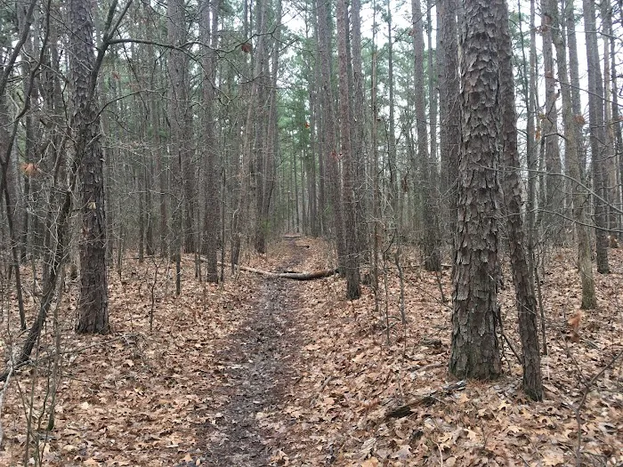 Big Piney Campground 7