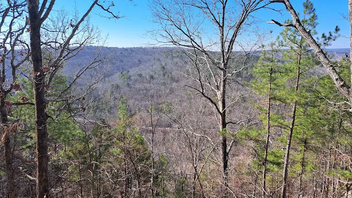 Big Piney Campground 1