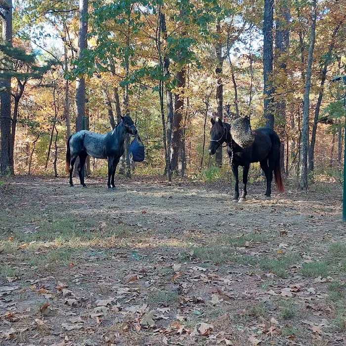 Big Piney Campground 5