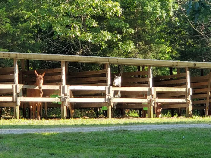 Slabtown Horse Camp LLC (formerly Slabtown Trail Rides) 6