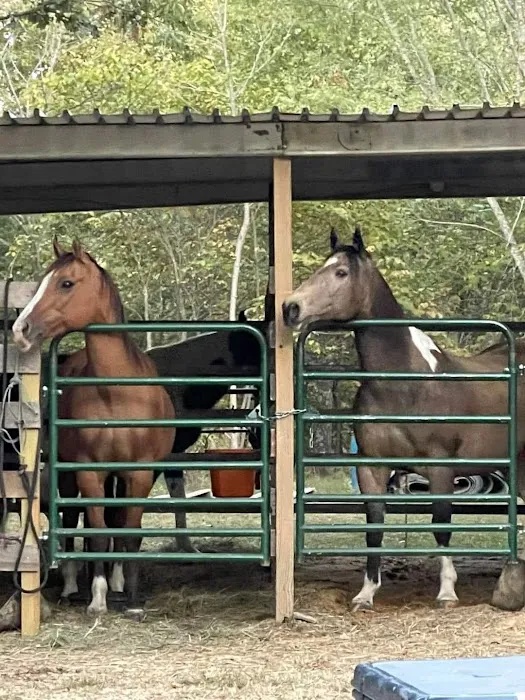 Slabtown Horse Camp LLC (formerly Slabtown Trail Rides) 3