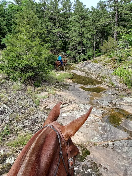 Slabtown Horse Camp LLC (formerly Slabtown Trail Rides) 10