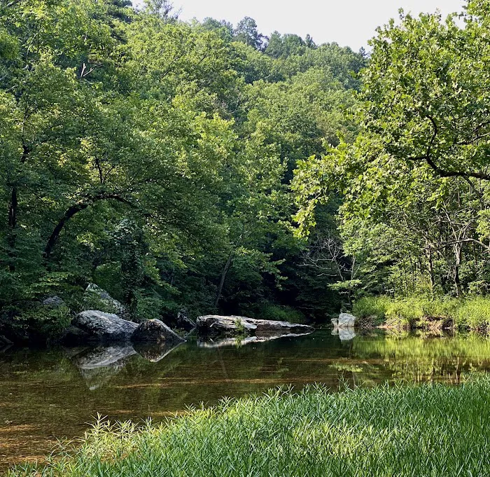 Paddy Creek Campground 10