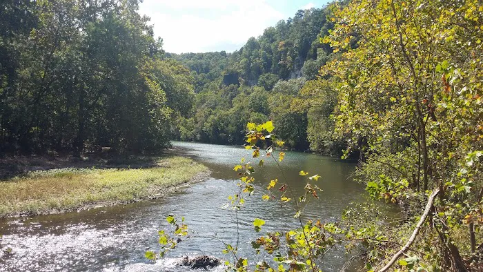 Paddy Creek Campground 2