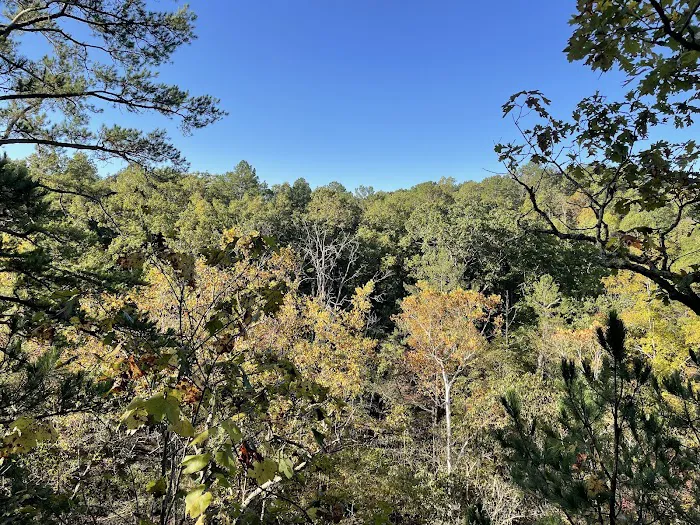 Paddy Creek Campground 6