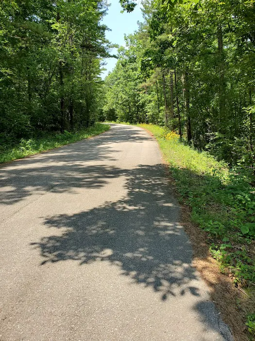 Paddy Creek Campground 7