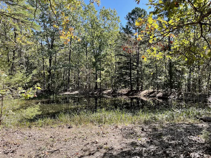 Paddy Creek Campground 8