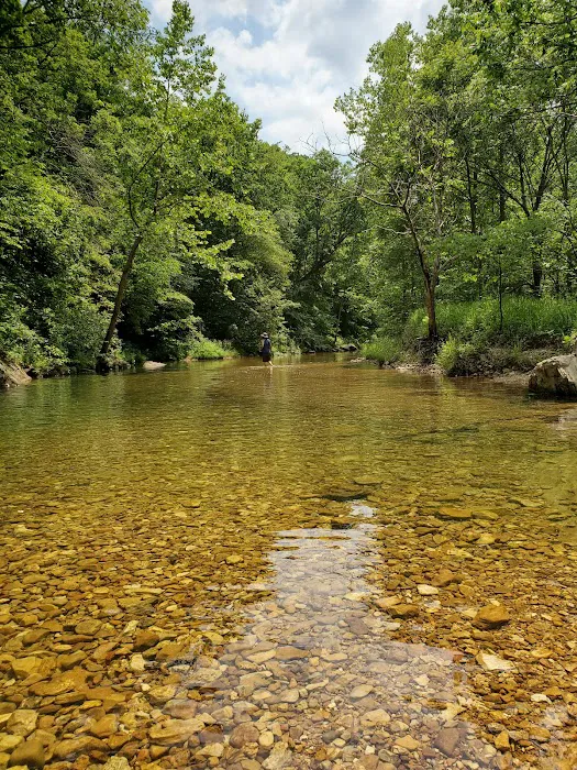Paddy Creek Campground 3