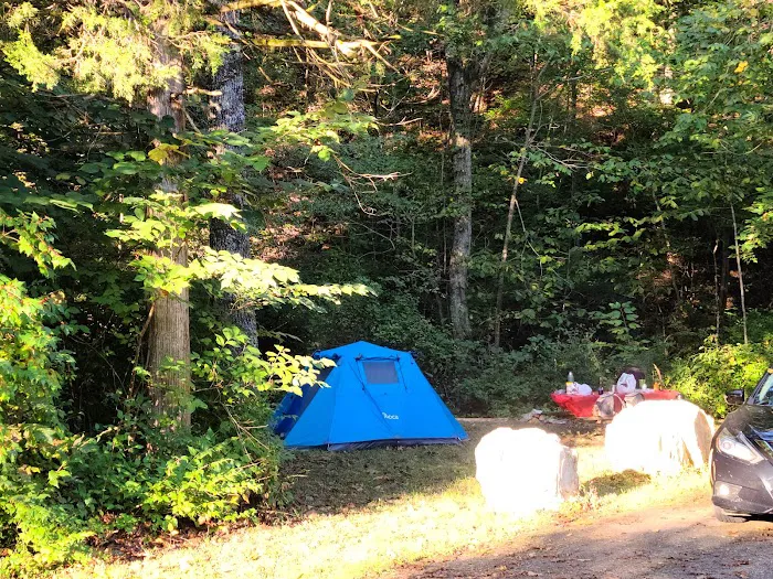 Paddy Creek Campground 9
