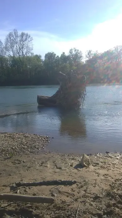 Float Camp Picnic Area 2
