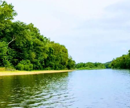 Float Camp Picnic Area