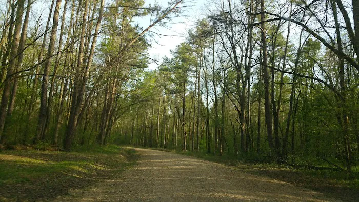 Deer Leap Campground 5