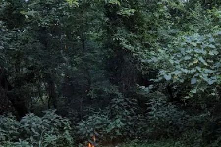 Deer Leap Campground