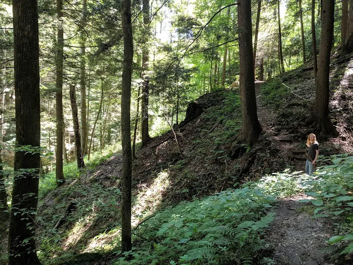 Canter's Cave 2