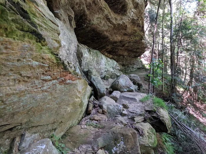 Canter's Cave 3