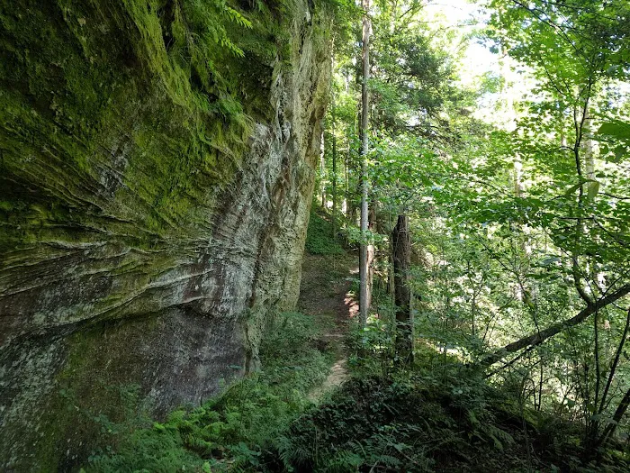 Canter's Cave 5