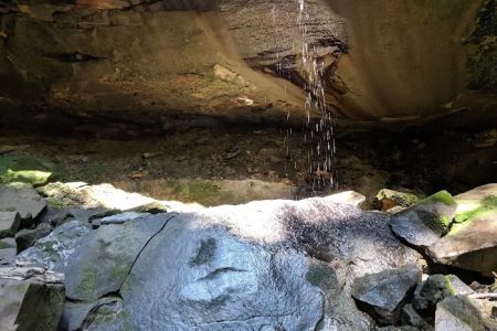 Canter's Cave