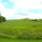 Lazy Dog Camp Resort & Pay Lake