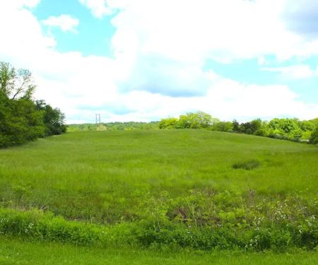 Lazy Dog Camp Resort & Pay Lake