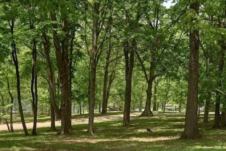 DEERLAND RV PARK, LLC