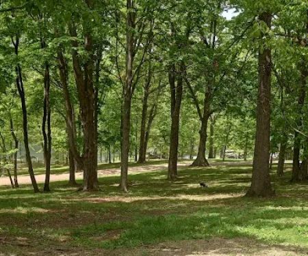 DEERLAND RV PARK, LLC