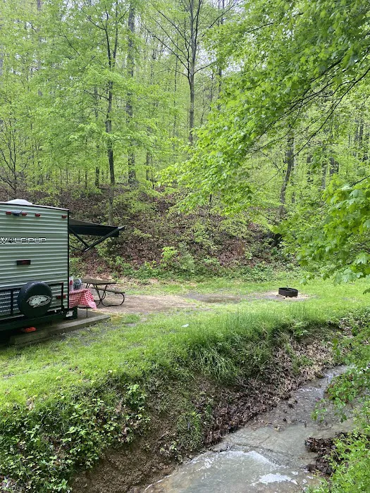 Lake Alma State Park Campground 8