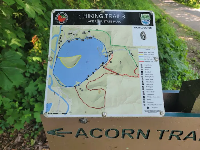 Lake Alma State Park Campground 4