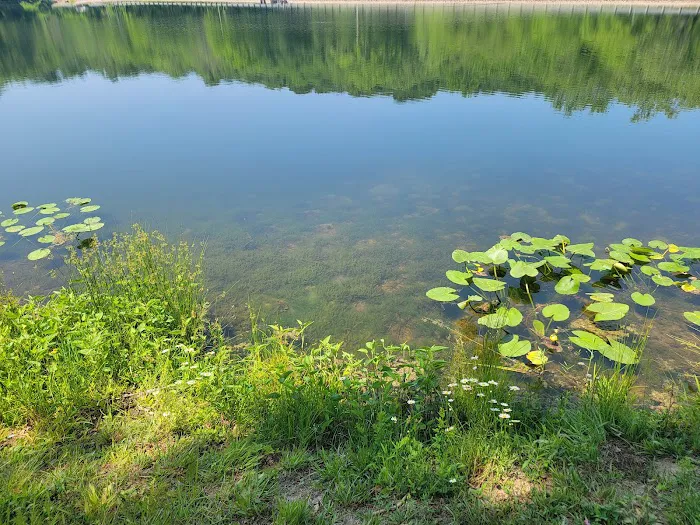 Lake Alma State Park Campground 10