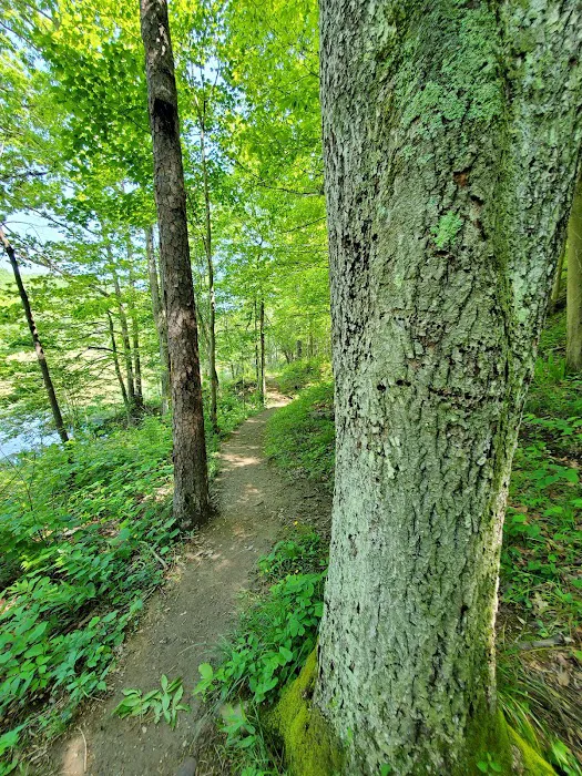 Oak Hill Campground 4