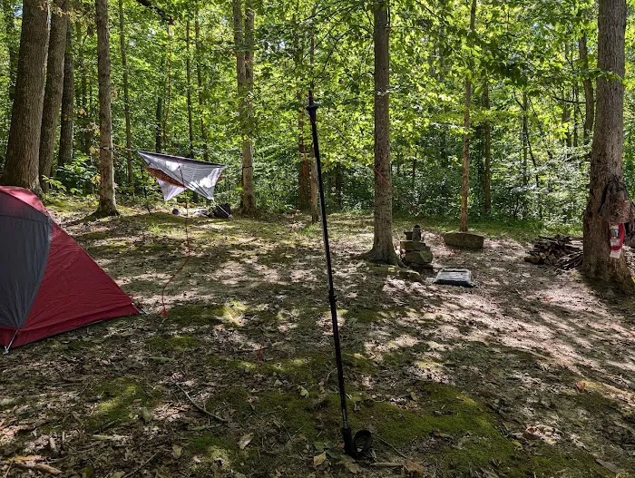 Johnson Homeplace Backcountry Campsite 1