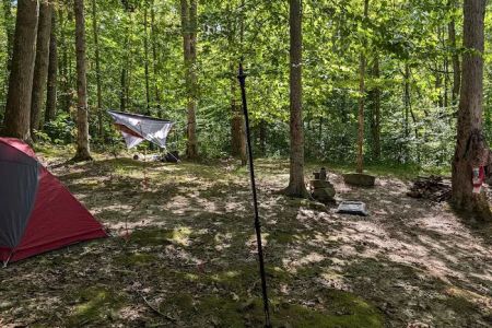Johnson Homeplace Backcountry Campsite