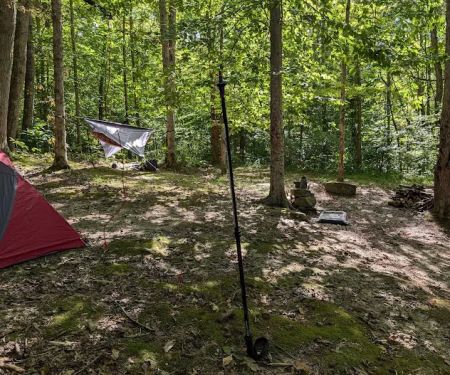 Johnson Homeplace Backcountry Campsite